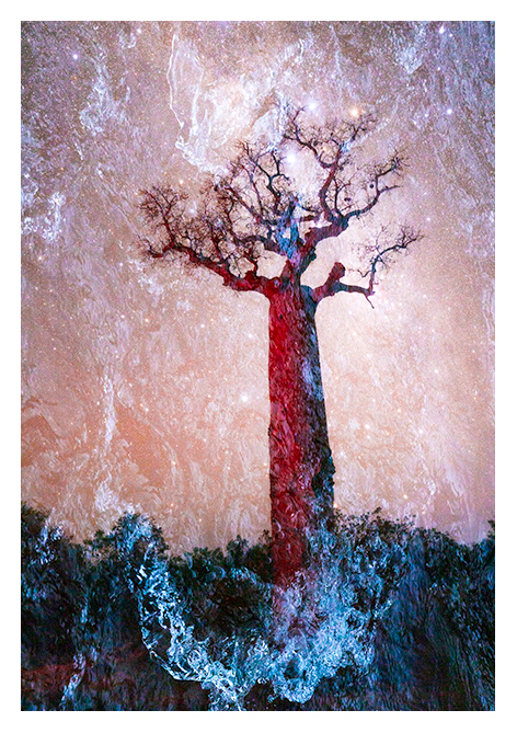 Baobabwelten 7 (sRGB)